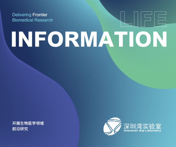 普洱茶包裝設計方法和a說明